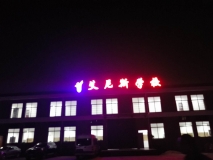 【艾尼斯學(xué)?！繕琼敯l(fā)光字效果